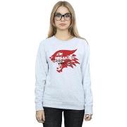 Sweat-shirt Disney High School Musical The Musical Breaking Rules