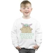 Sweat-shirt enfant Disney The Mandalorian Unknown Species