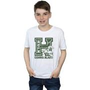 T-shirt enfant Marvel BI30134