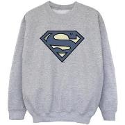 Sweat-shirt enfant Dc Comics BI33026