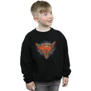 Sweat-shirt enfant Dc Comics BI33095