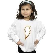 Sweat-shirt enfant Dc Comics BI33909