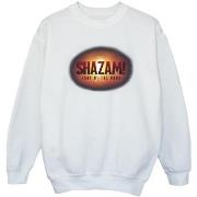 Sweat-shirt enfant Dc Comics Shazam Fury Of The Gods 3D Logo Flare