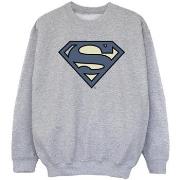 Sweat-shirt enfant Dc Comics BI34118