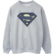 Sweat-shirt Dc Comics BI35196