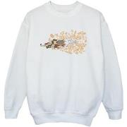 Sweat-shirt enfant Dessins Animés ACME