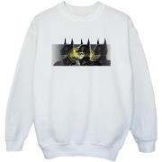 Sweat-shirt enfant Dc Comics BI38321