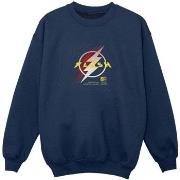 Sweat-shirt enfant Dc Comics BI38413