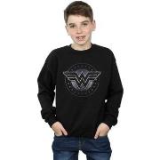 Sweat-shirt enfant Dc Comics BI40470