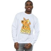 Sweat-shirt Scooby Doo BI44113