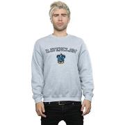 Sweat-shirt Harry Potter BI28444