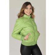 Veste Oakwood VANOISE POMME 643