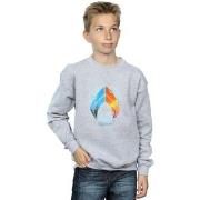 Sweat-shirt enfant Dc Comics Aquaman Tropical Logo