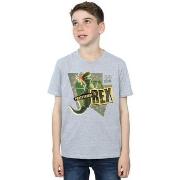 T-shirt enfant Disney Toy Story Partysaurus Rex