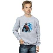 Sweat-shirt enfant Marvel Ant-Man Standing
