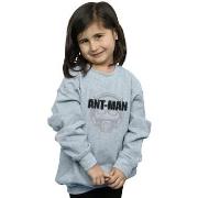 Sweat-shirt enfant Marvel BI6078