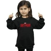 Sweat-shirt enfant Marvel BI6159