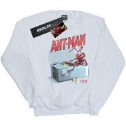 Sweat-shirt Marvel Ant-Man And The Wasp Bathing Ant