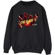 Sweat-shirt Dc Comics BI41145