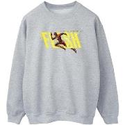 Sweat-shirt Dc Comics BI41160