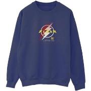 Sweat-shirt Dc Comics BI41161