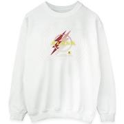 Sweat-shirt Dc Comics BI41161