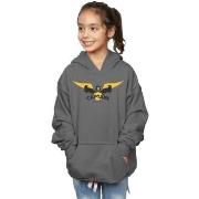 Sweat-shirt enfant Harry Potter Hufflepuff Captain