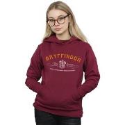 Sweat-shirt Harry Potter Gryffindor Team Quidditch