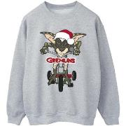 Sweat-shirt Gremlins BI20019