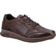 Baskets basses Hush puppies Joseph