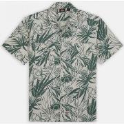 Chemise Dickies Max meadows shirt ss