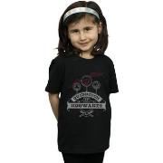 T-shirt enfant Harry Potter Quidditch At Hogwarts