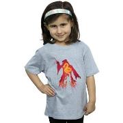 T-shirt enfant Harry Potter BI21099