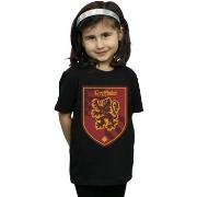 T-shirt enfant Harry Potter BI21034
