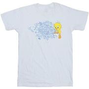 T-shirt enfant Dessins Animés ACME