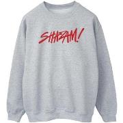 Sweat-shirt Dc Comics Shazam Fury Of The Gods Spray Paint Logo