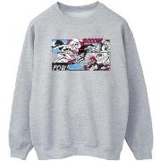 Sweat-shirt Dc Comics BI44639