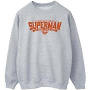 Sweat-shirt Dc Comics BI44675