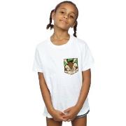 T-shirt enfant Dessins Animés BI24264