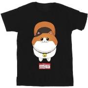 T-shirt enfant Disney Big Hero 6