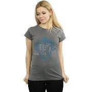 T-shirt Harry Potter BI23790