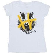 T-shirt Harry Potter Hufflepuff Pop Spray