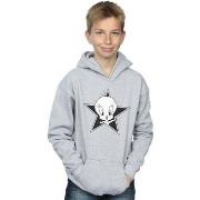 Sweat-shirt enfant Dessins Animés BI8593