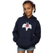 Sweat-shirt enfant Dessins Animés BI9167