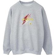 Sweat-shirt Dc Comics BI47270