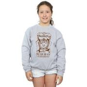 Sweat-shirt enfant Harry Potter BI19582