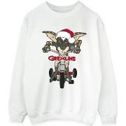 Sweat-shirt Gremlins BI26799