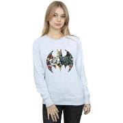 Sweat-shirt Dc Comics BI48376