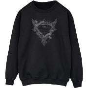 Sweat-shirt Dc Comics BI48806