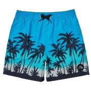 Maillots de bain enfant Quiksilver EVERYDAY PARADISE